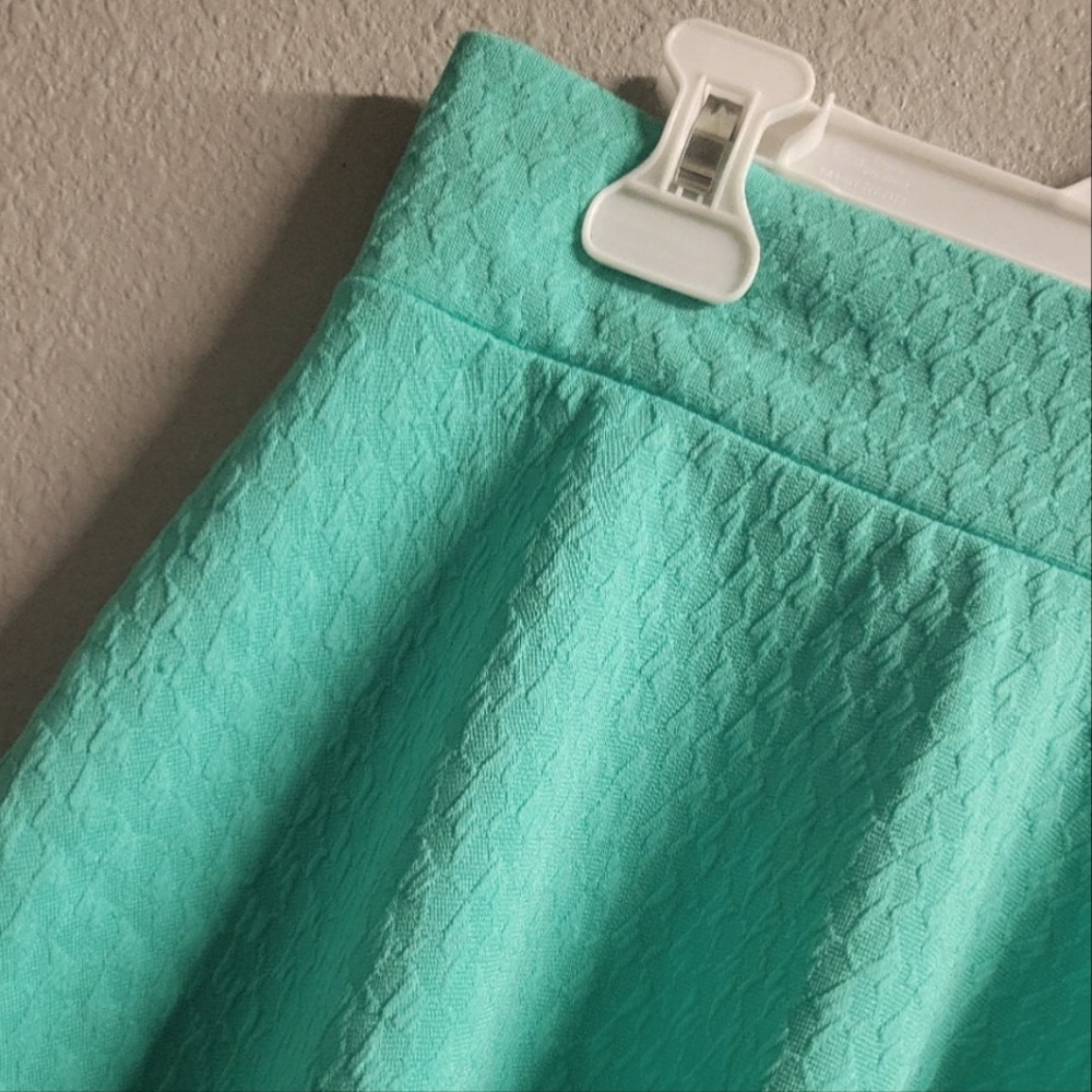 Charlotte Russe A-Line Skirt